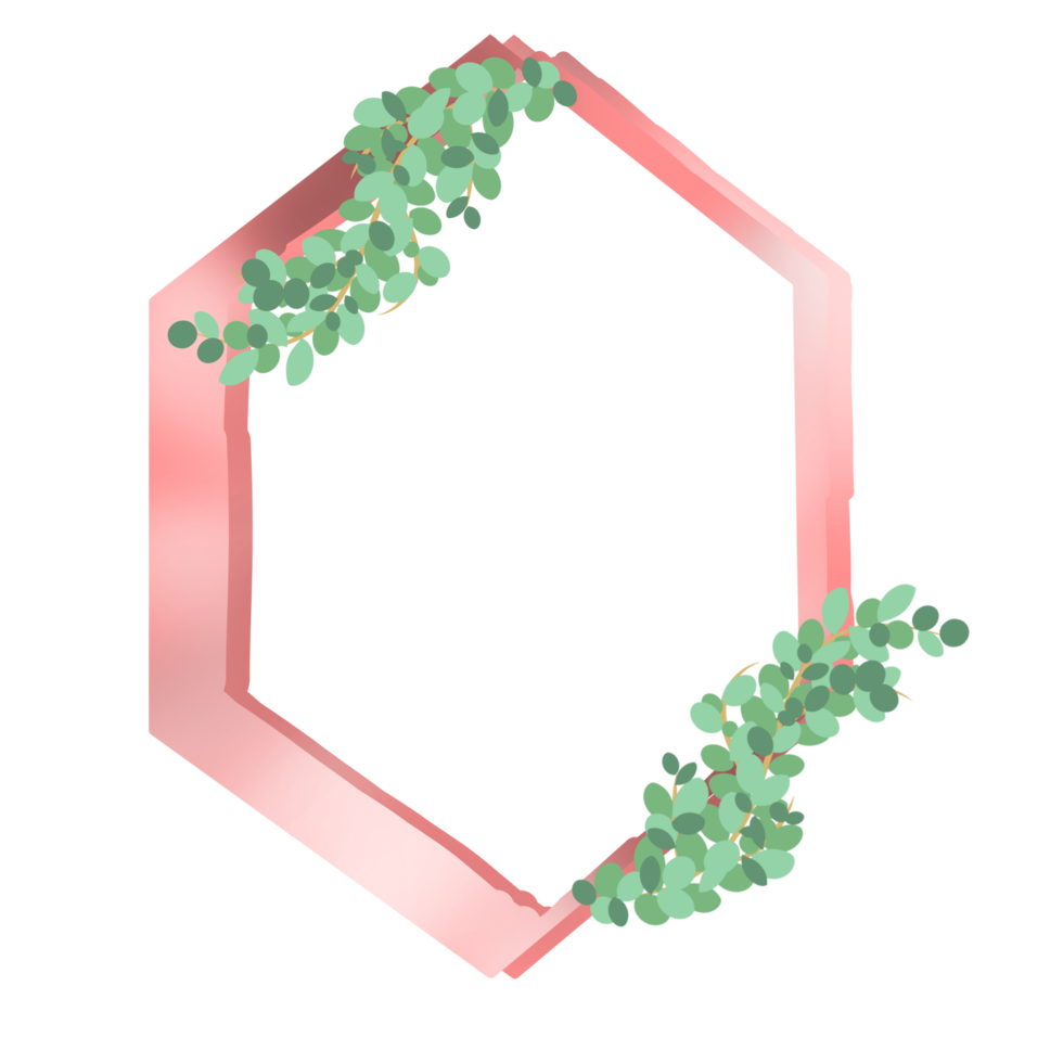Aesthetic hexagonal border png