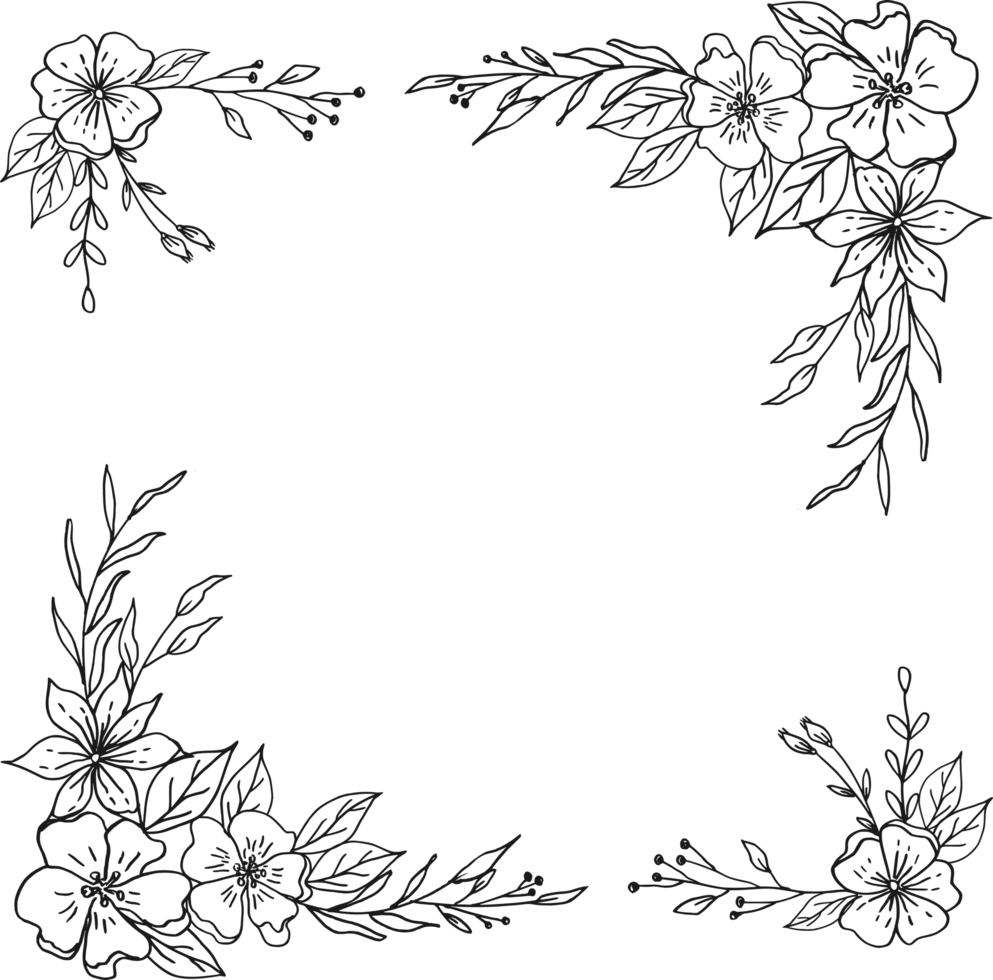 Simple Floral border with hand drawn leaves and flowers png