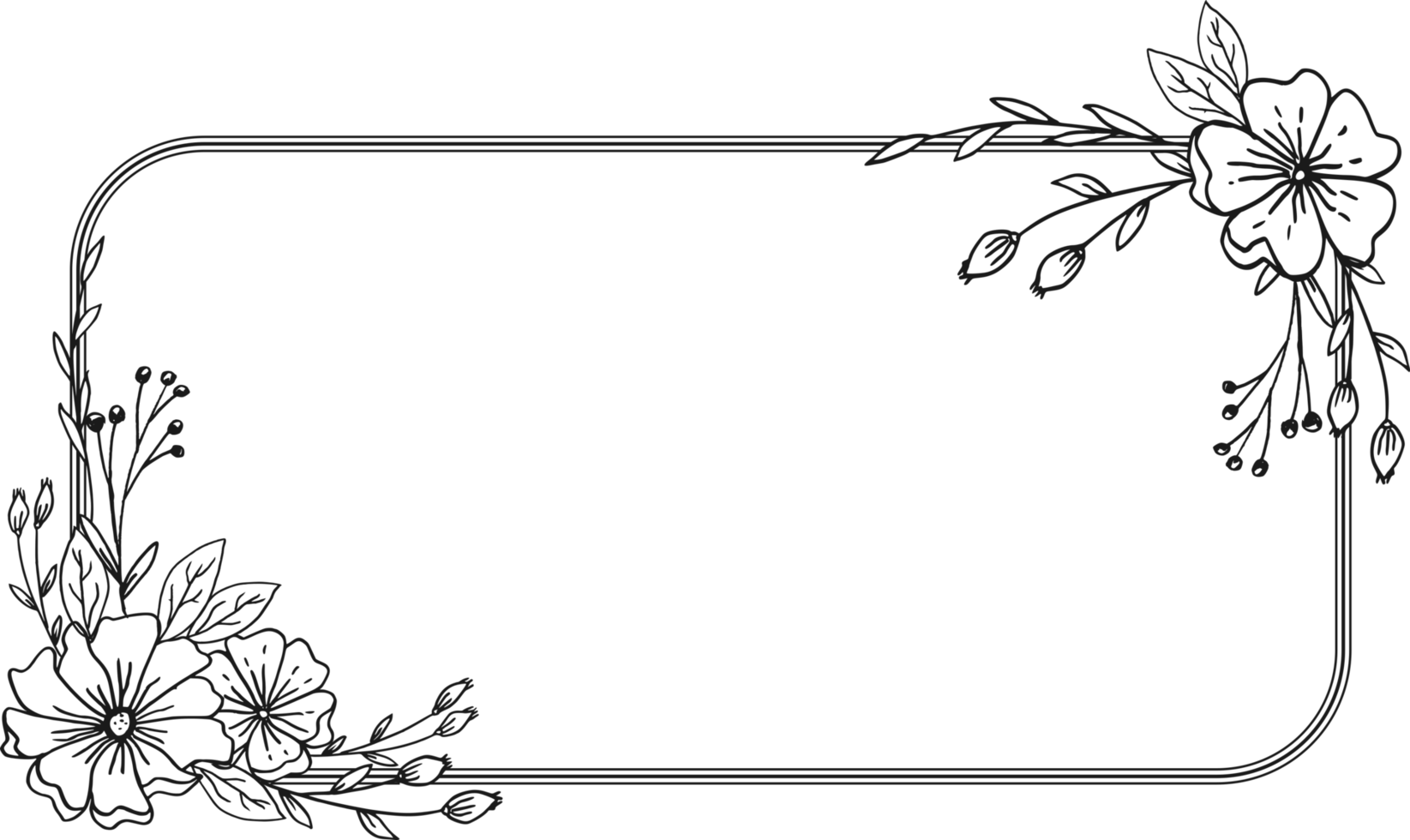 Simple Floral border with hand drawn leaves and flowers png