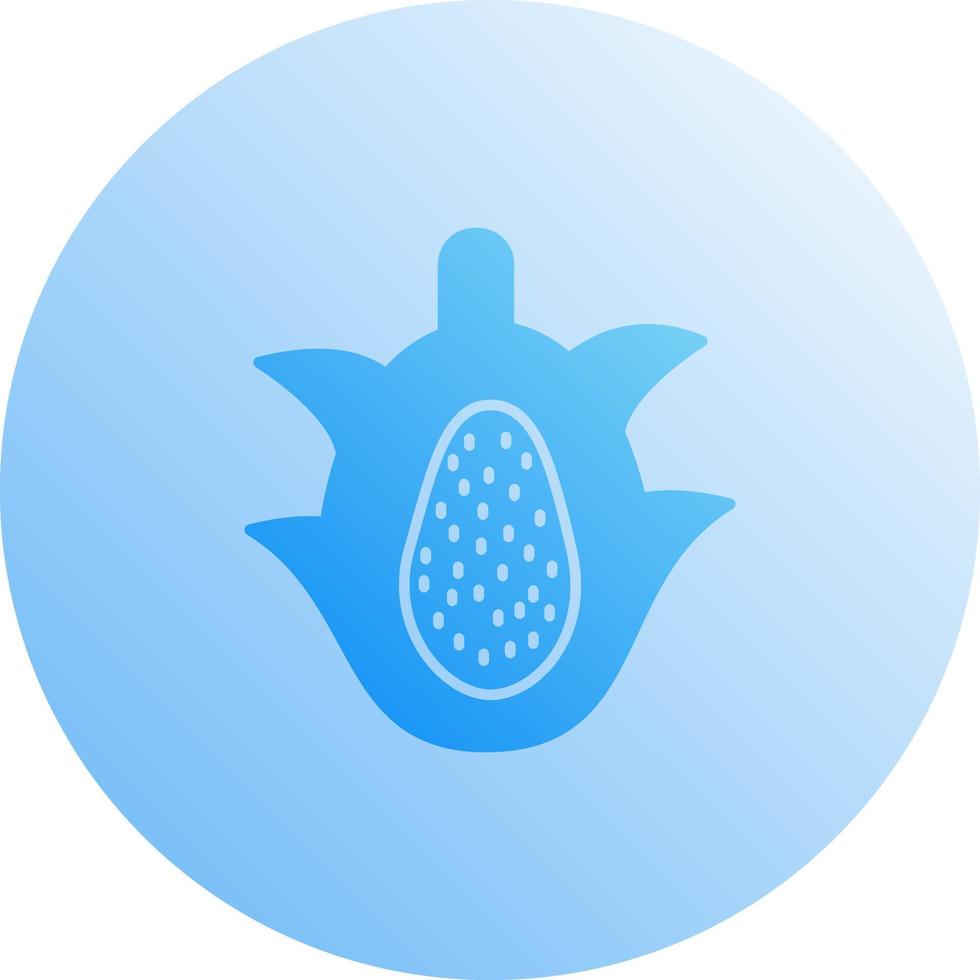 Dragon Fruit Vector Icon