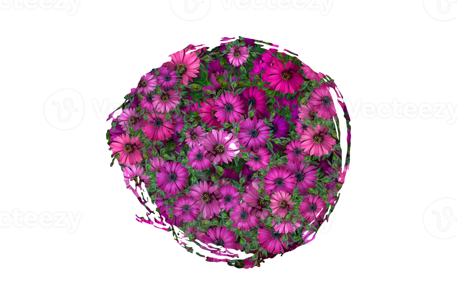 Flower Sublimation Clipart PNG