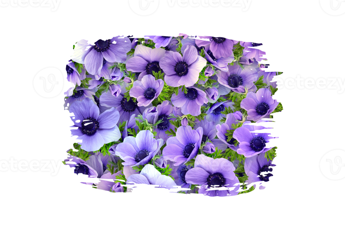 fleur sublimation clipart png