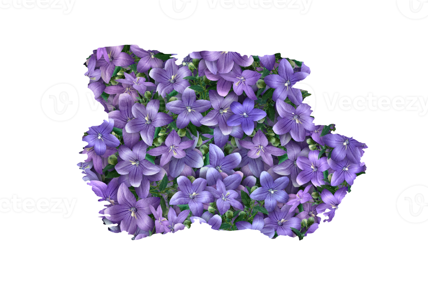 Flower Sublimation Clipart PNG