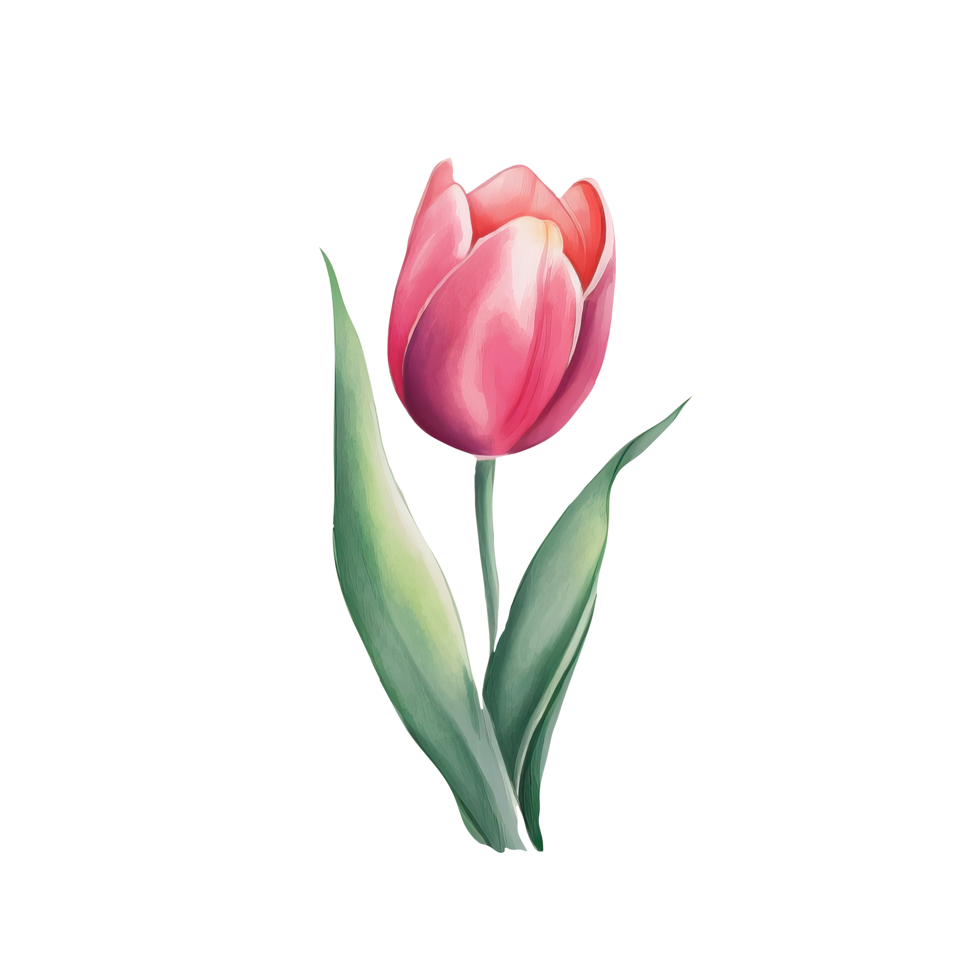 Watercolor flower tulip 21444483 PNG