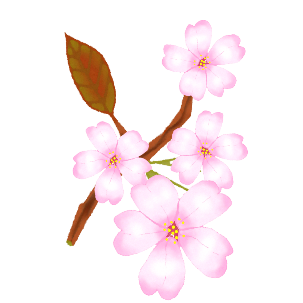 Cerise fleur rose fleurs png