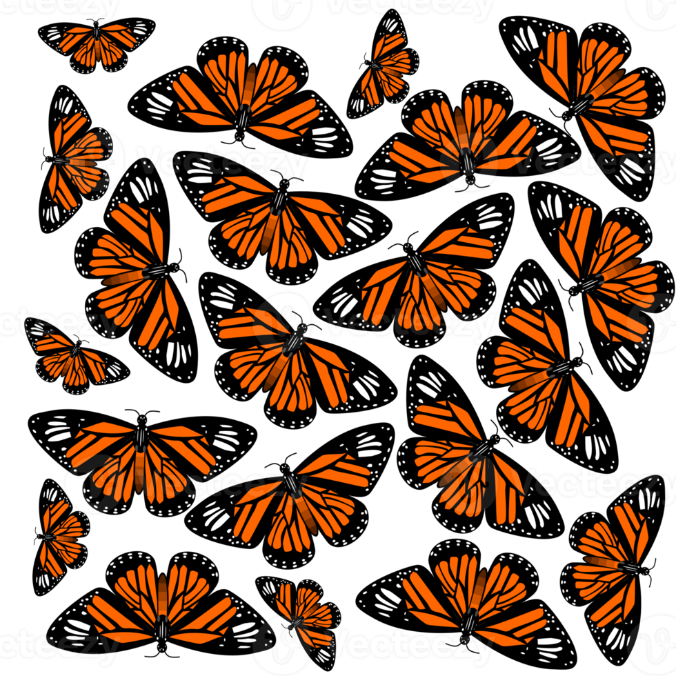 monarch butterflies pattern png