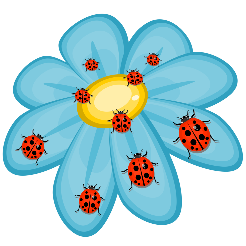 flower and ladybugs png