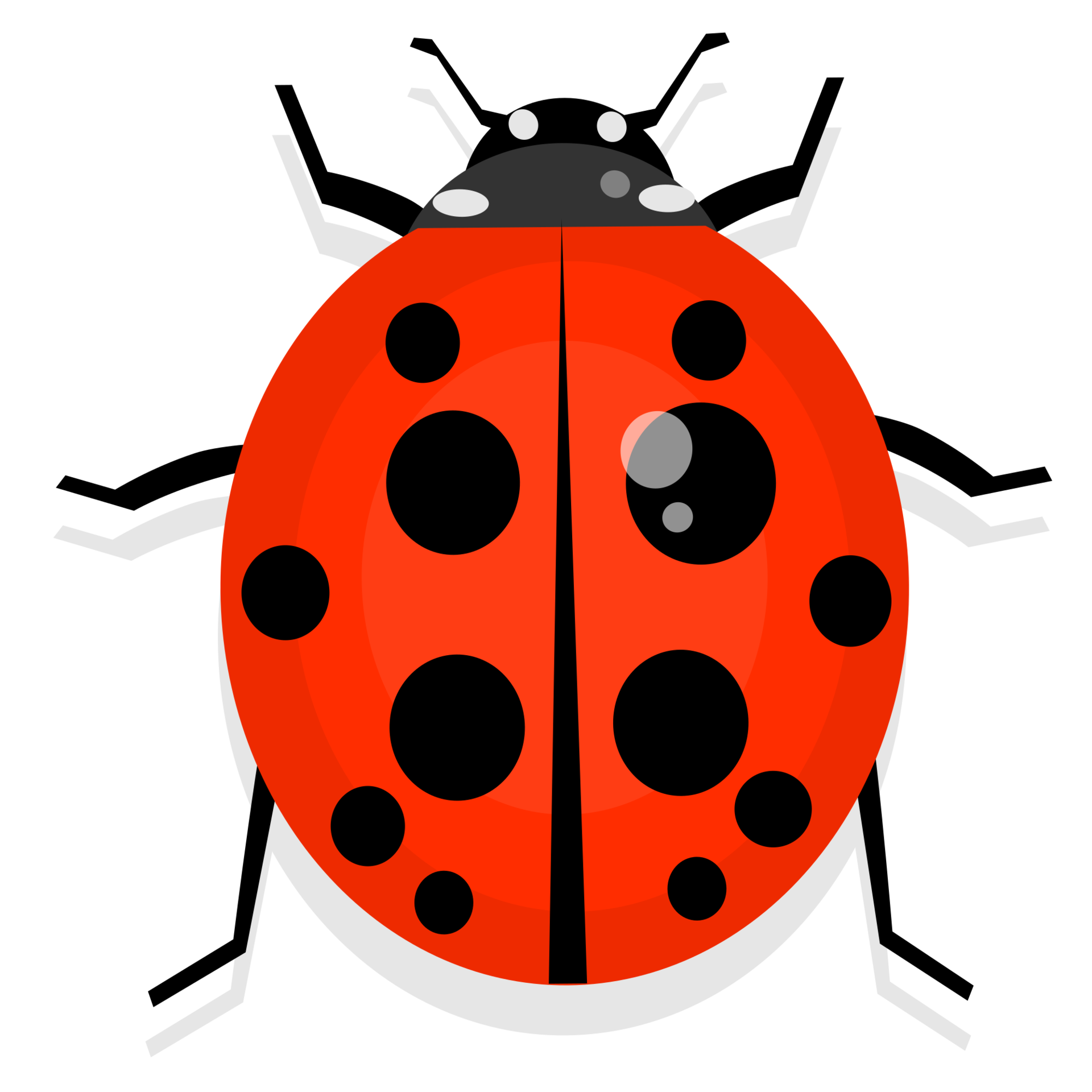 Ladybug PNG Image  Ladybug, Insects, Bugs