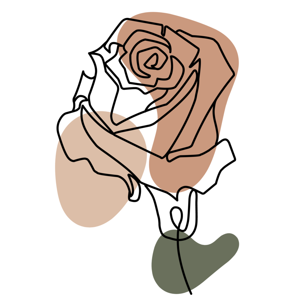 Aesthetic Rose Line Art Collection png