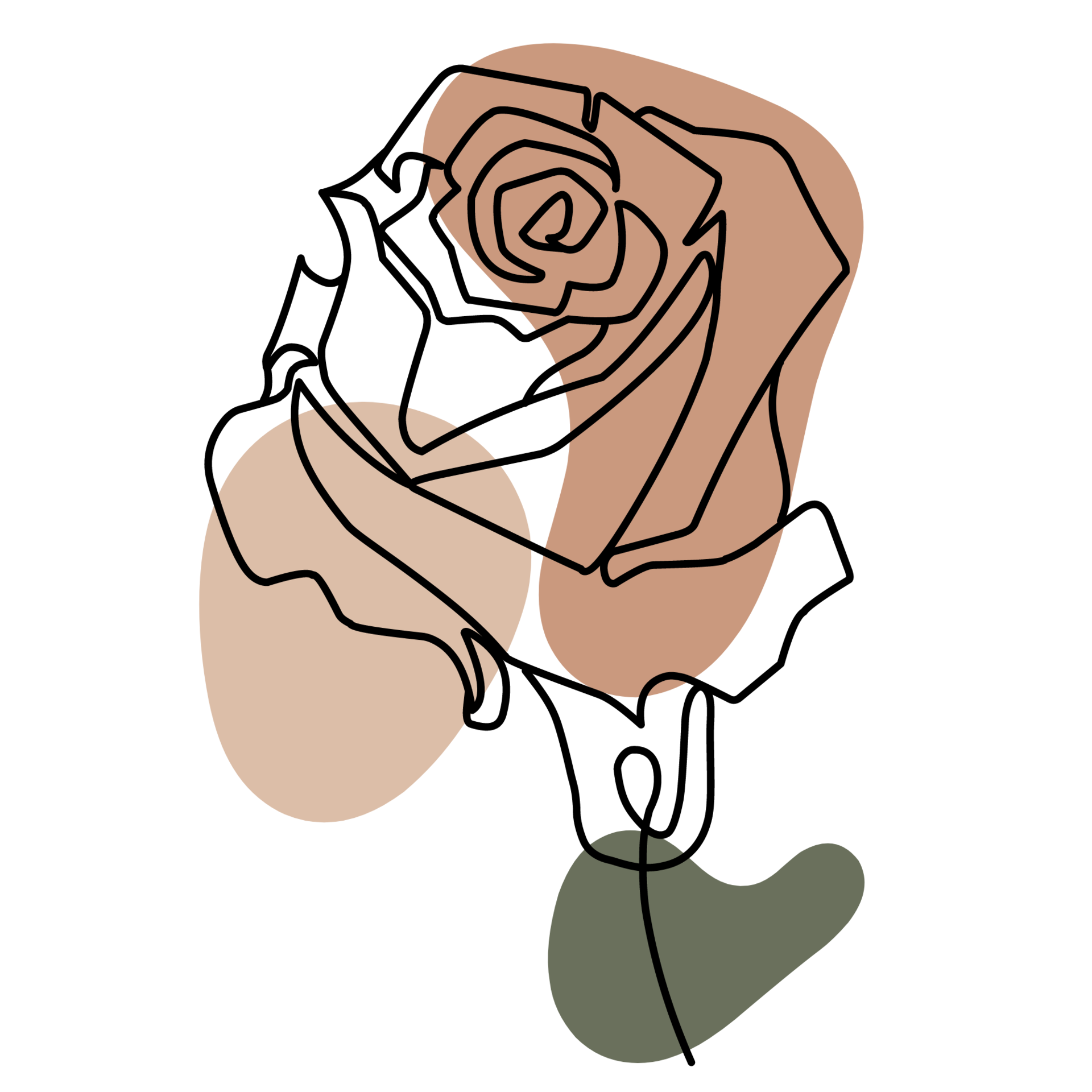 Aesthetic Rose Line Art Collection 21445442 PNG