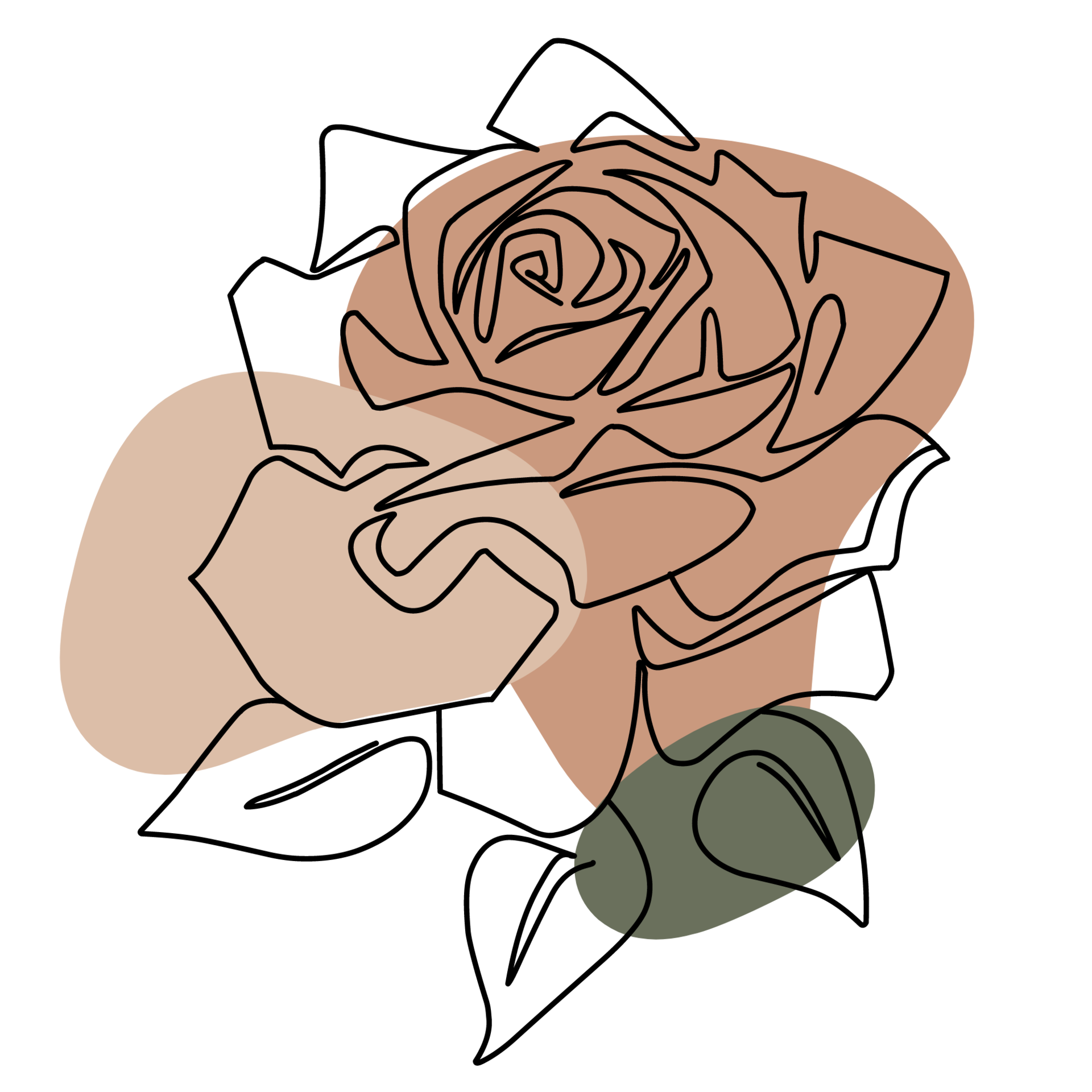 Aesthetic Rose Line Art Collection 21445443 PNG