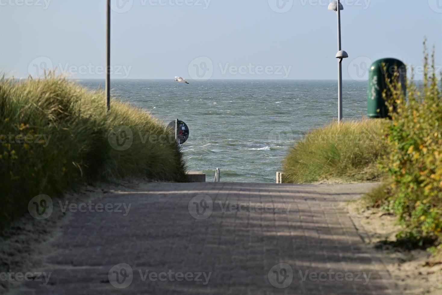 Path to the north sea as a close up photo