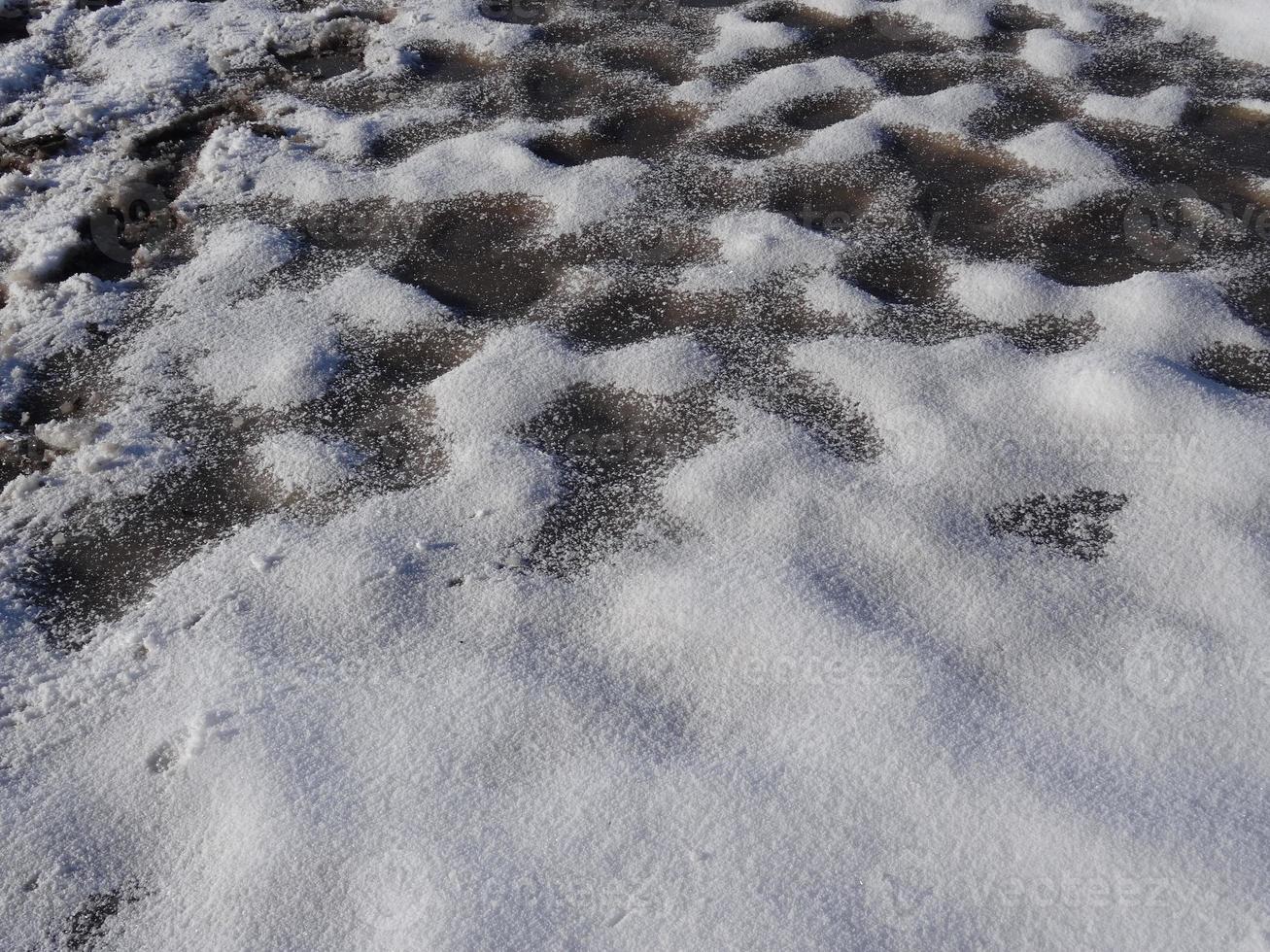 Close up of a frozen icy paddock bottom photo