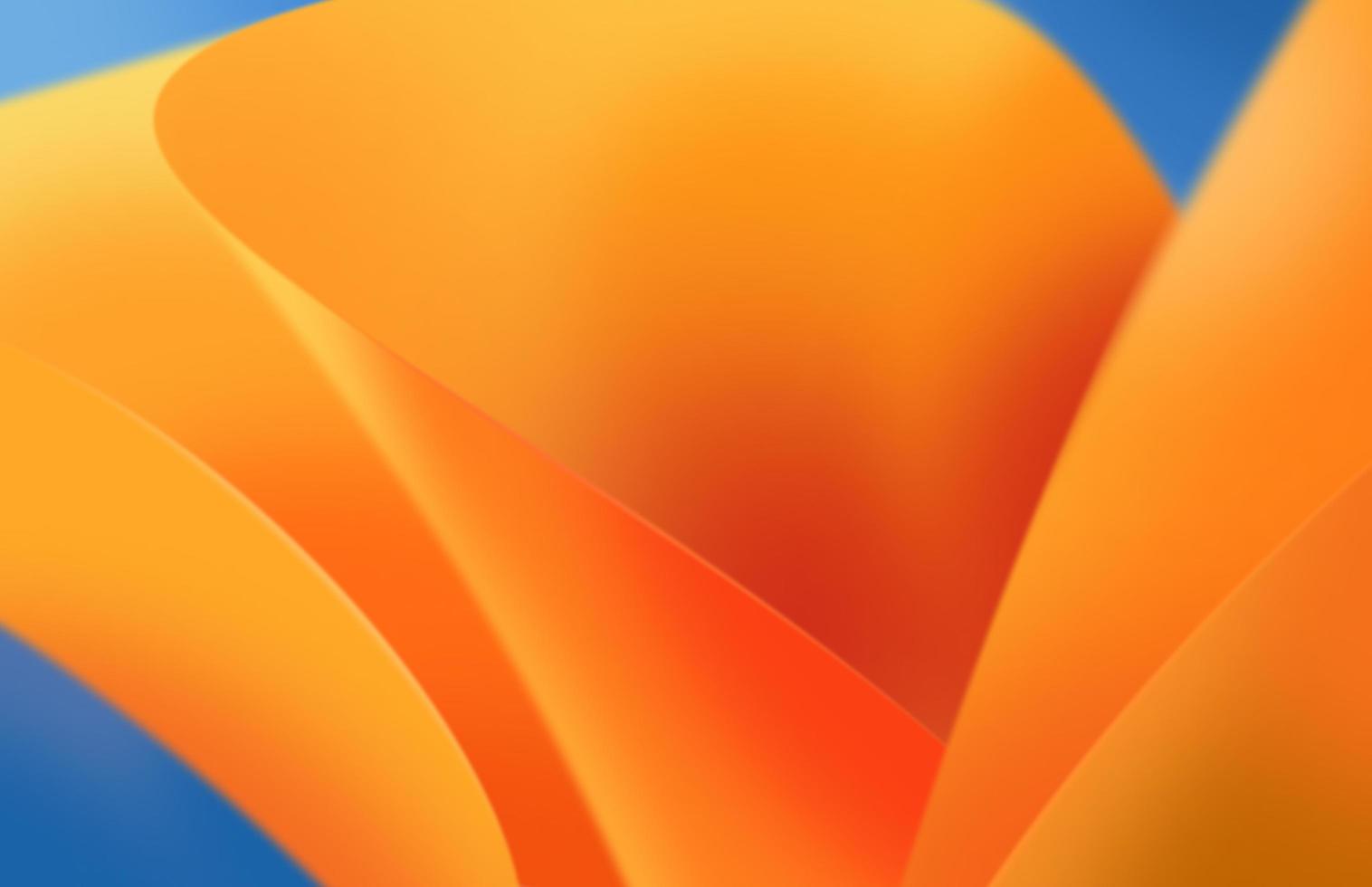 A blue background with orange and yellow flowers photo