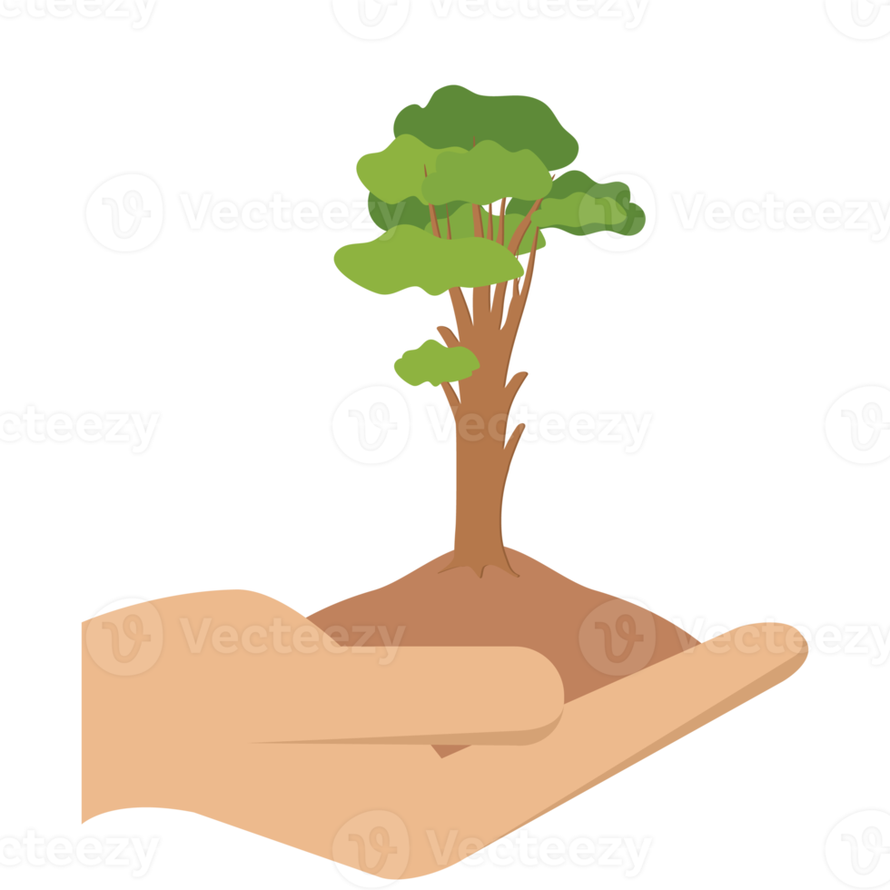 geben baum hände halten grüne bäume natürliche umwelt naturschutz png