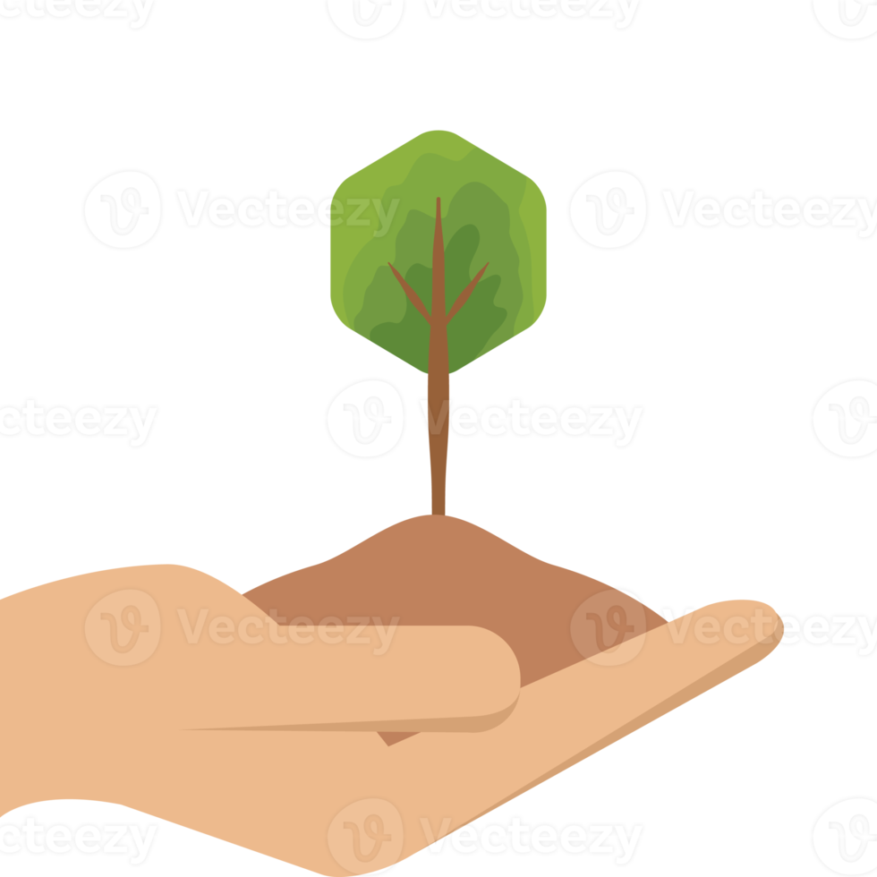 uno mano participación árbol planta vida verde naturaleza png