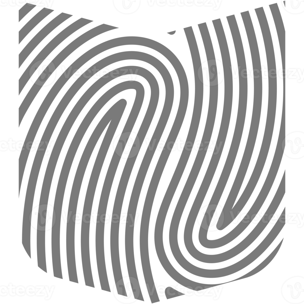 estetisk fingeravtryck grundläggande form klassisk linje png