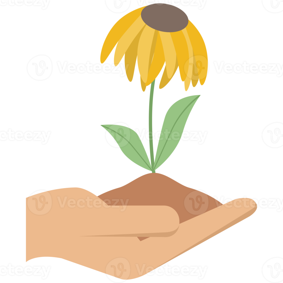 1 mão aguarde flor plantar vida verde árvore Relva brotar png