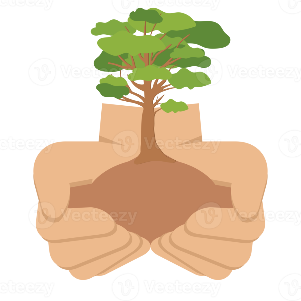 Free Giving Tree Hands Hold Green Trees Natural Environment Nature