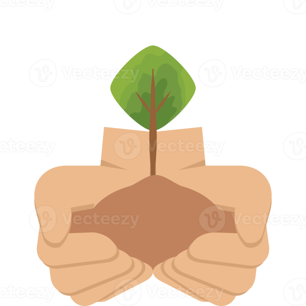 twee hand- Holding geven boom fabriek natuur leven groen png