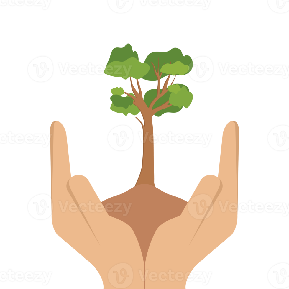 Free Giving Tree Hands Hold Green Trees Natural Environment Nature