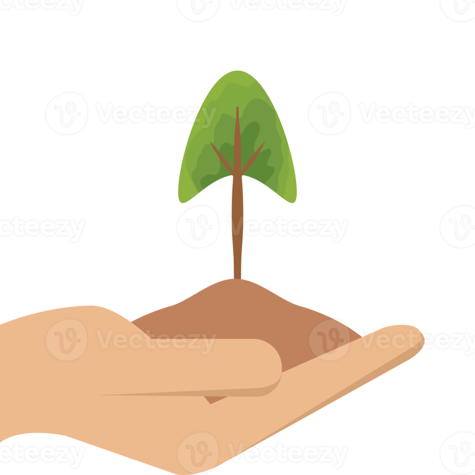 One Hand Holding Tree Plant Life Green Nature png