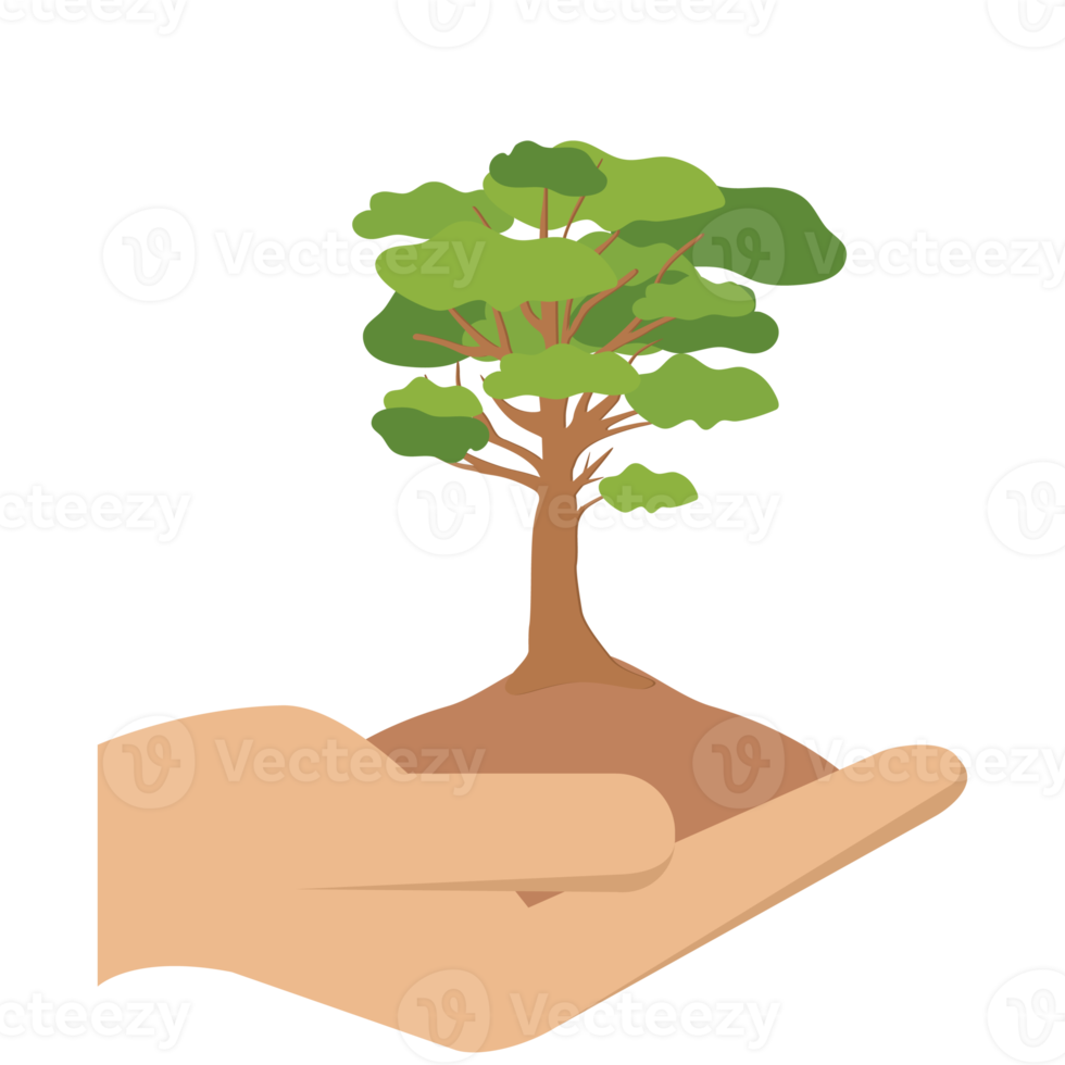 Giving Tree Hands Hold Green Trees Natural Environment Nature Protection png