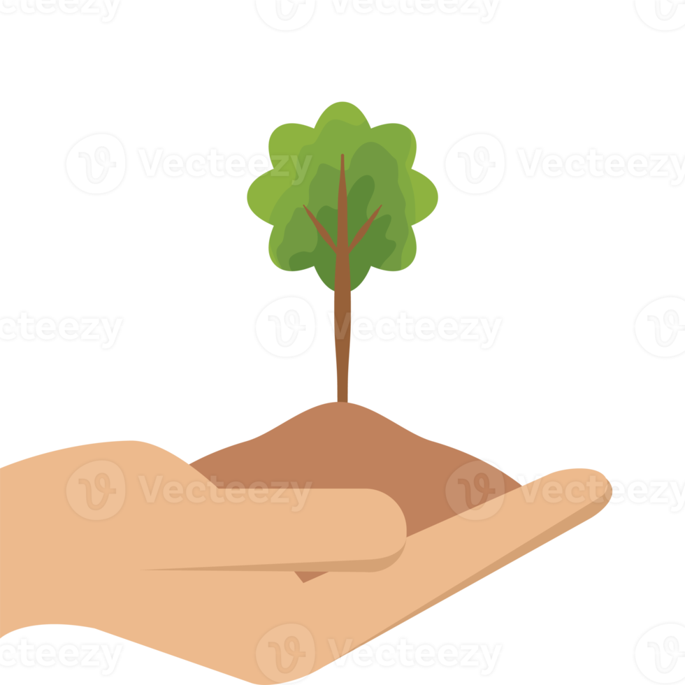 One Hand Holding Tree Plant Life Green Nature png