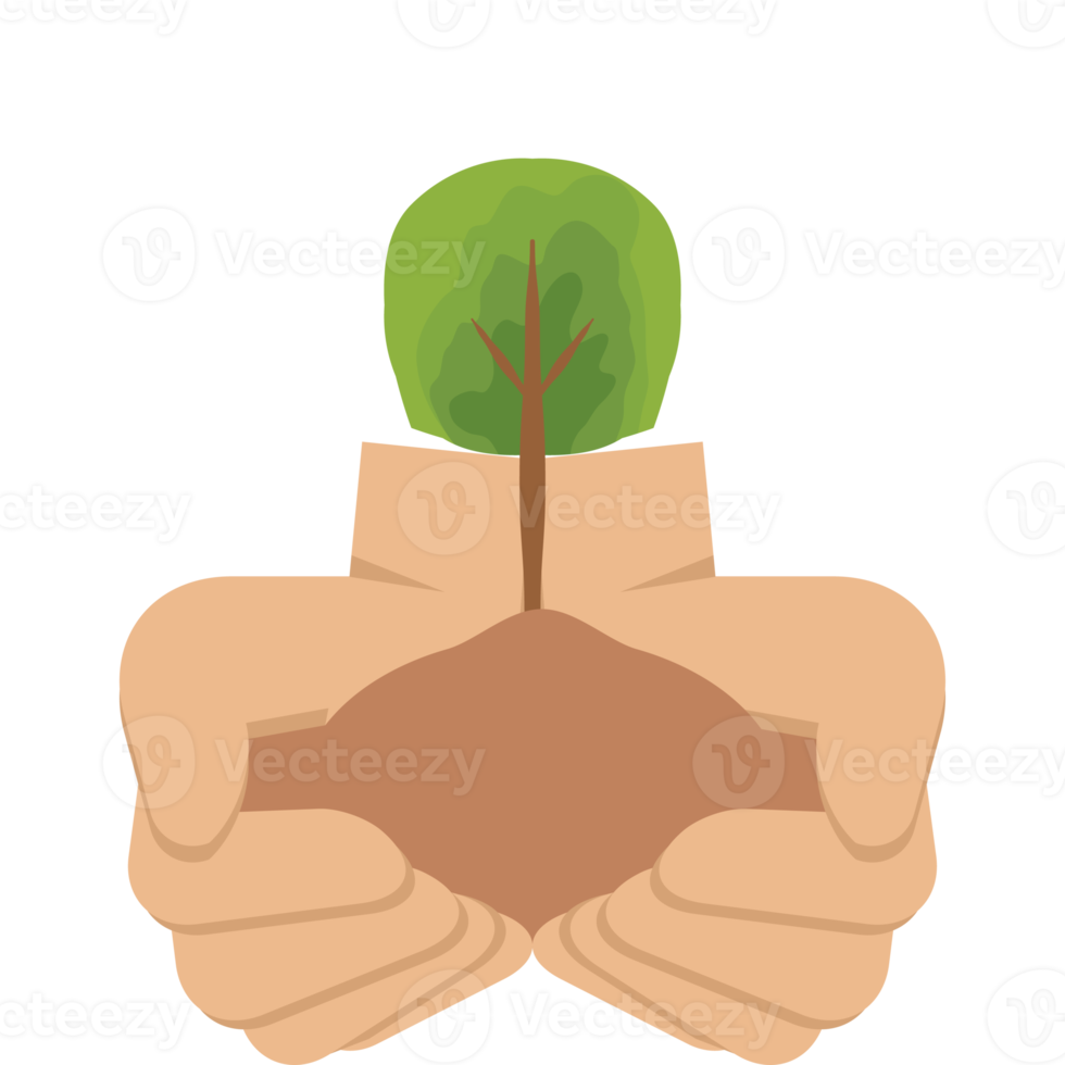 twee hand- Holding geven boom fabriek natuur leven groen png