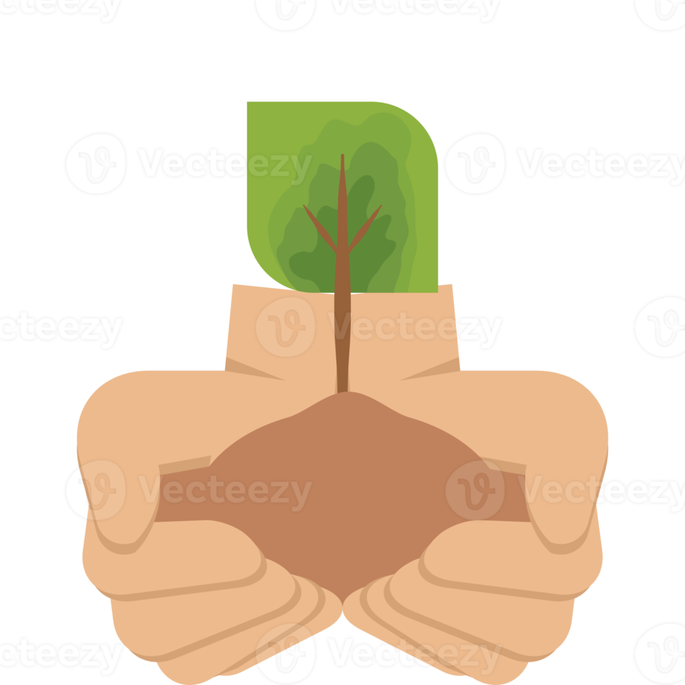 twee hand- Holding geven boom fabriek natuur leven groen png