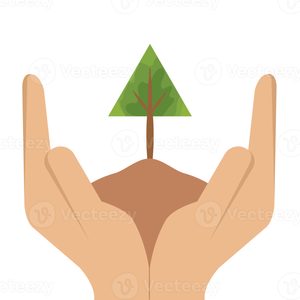 Hand Holding Giving Tree Plant Life Green Nature png