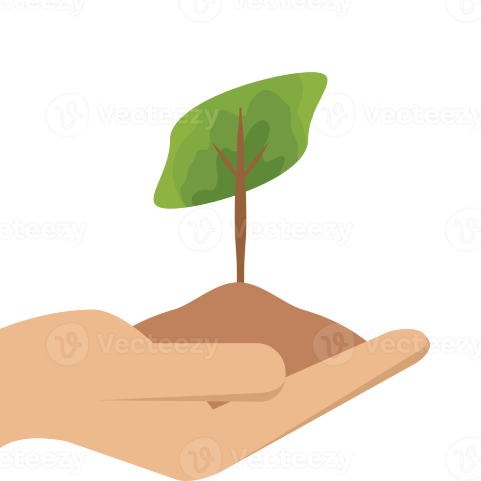 uno mano Tenere albero pianta vita verde natura png