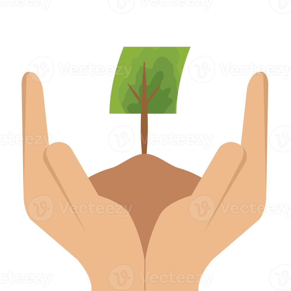 Hand Holding Giving Tree Plant Life Green Nature png