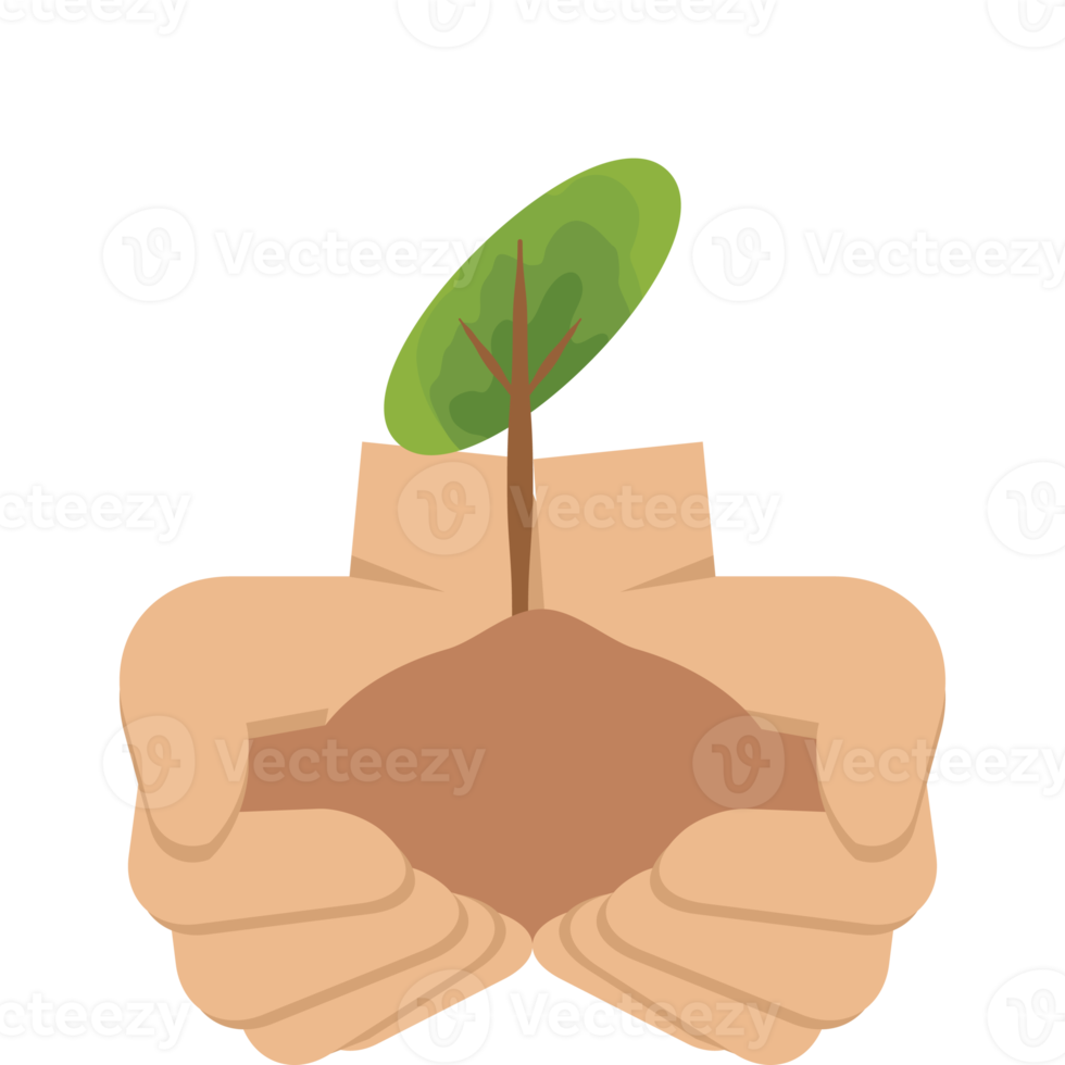 twee hand- Holding geven boom fabriek natuur leven groen png