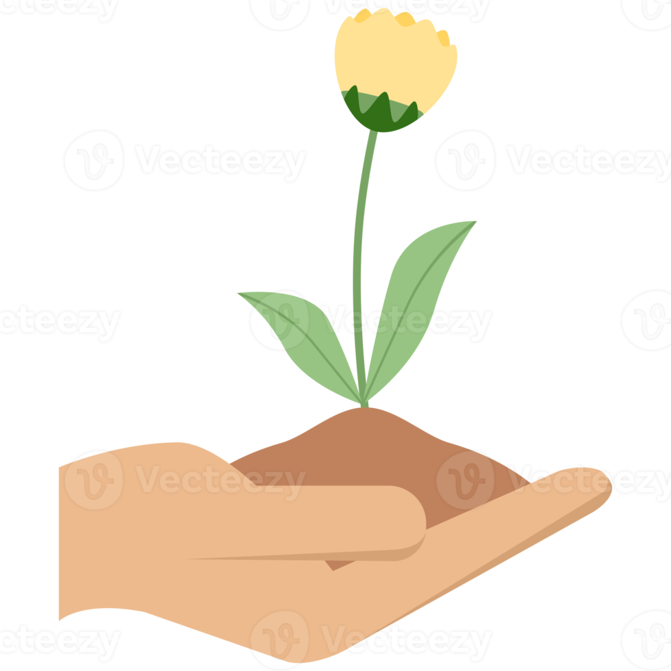 1 mão aguarde flor plantar vida verde árvore Relva brotar png