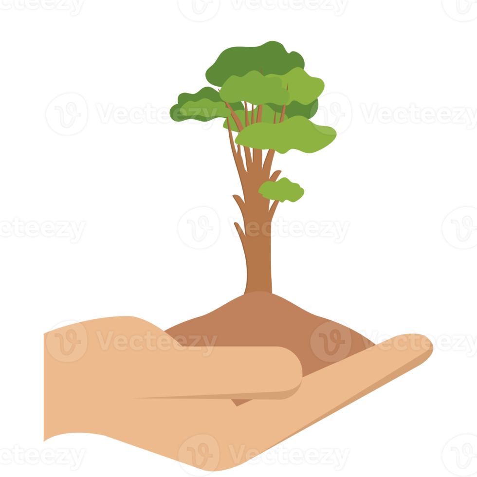 geben baum hände halten grüne bäume natürliche umwelt naturschutz png