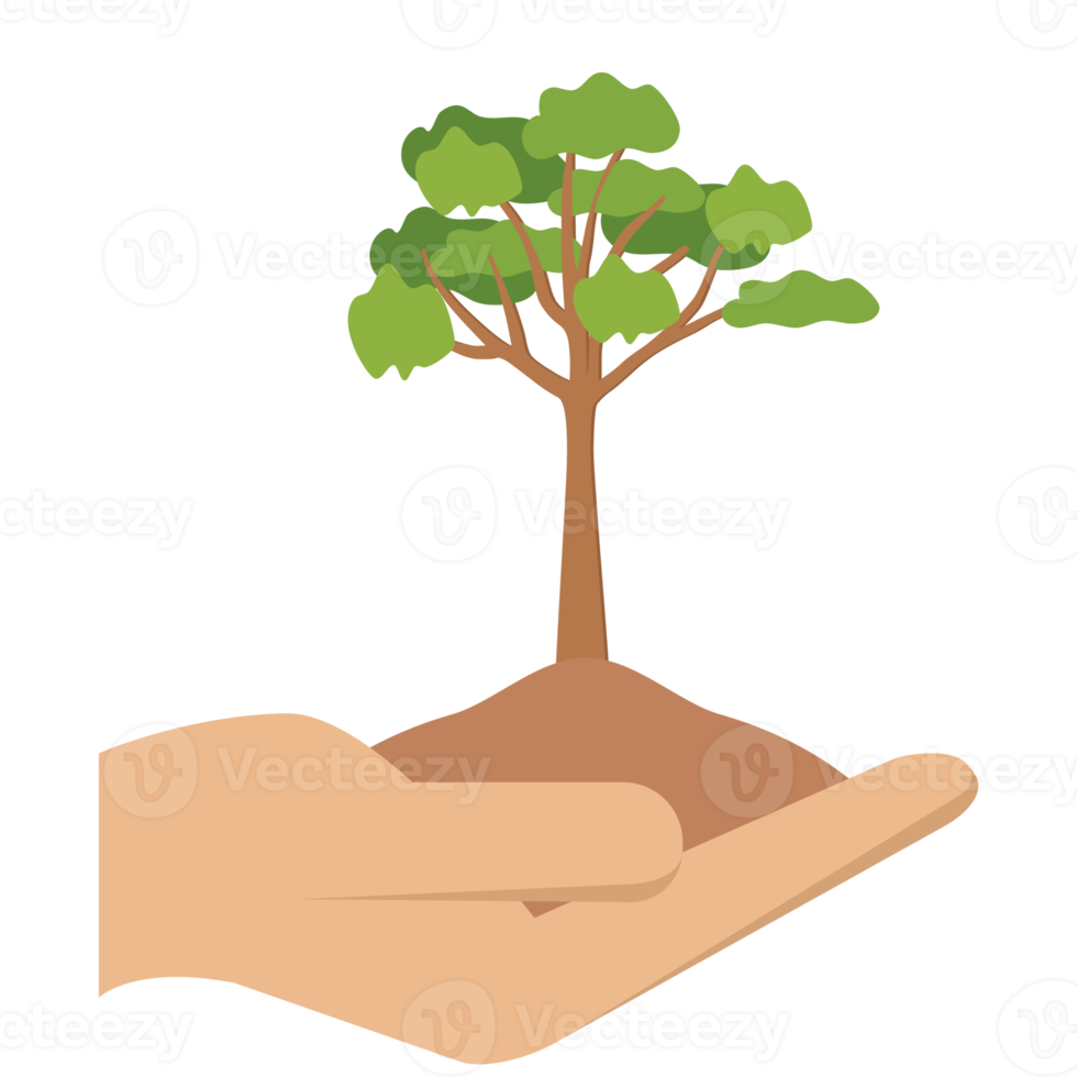 Giving Tree Hands Hold Green Trees Natural Environment Nature Protection png