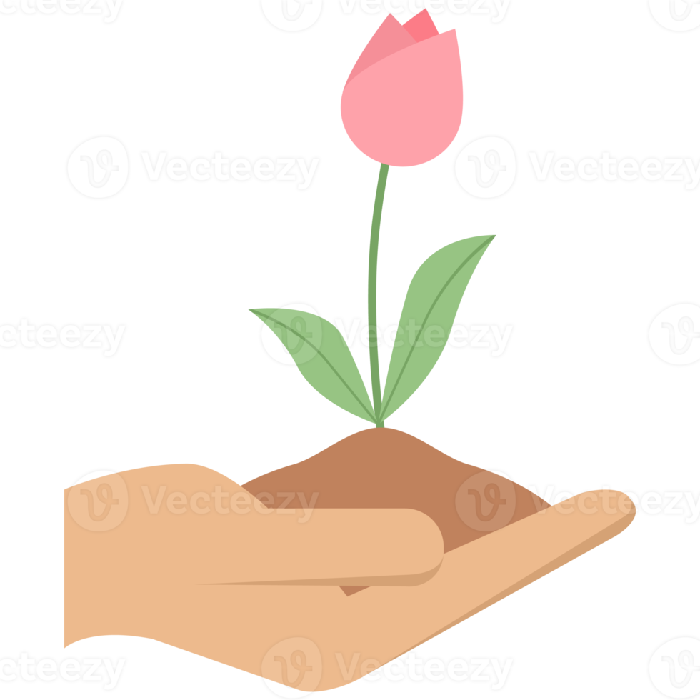 1 mão aguarde flor plantar vida verde árvore Relva brotar png