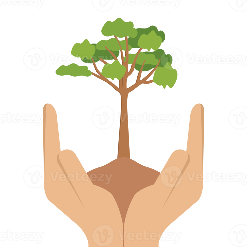 Free Giving Tree Hands Hold Green Trees Natural Environment Nature