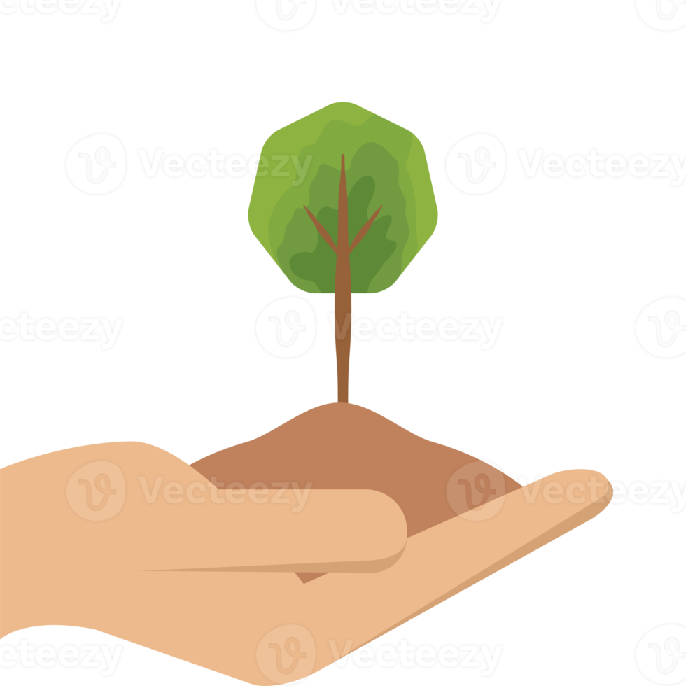 One Hand Holding Tree Plant Life Green Nature png