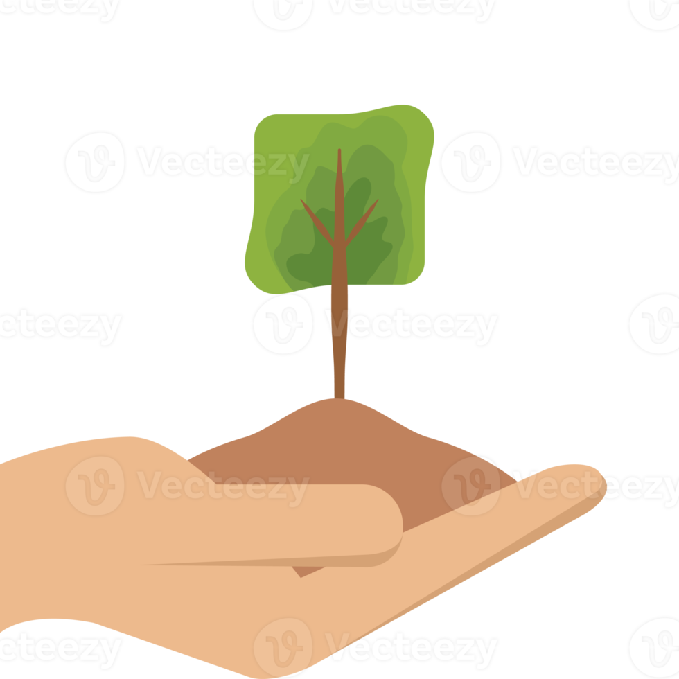 One Hand Holding Tree Plant Life Green Nature png