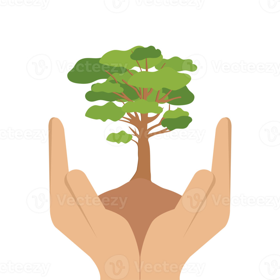 geben baum hände halten grüne bäume natürliche umwelt naturschutz png