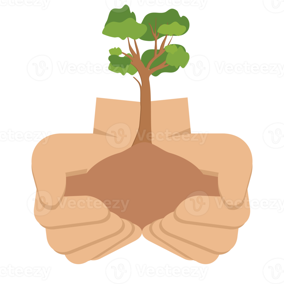 boom geven handen vasthouden groene bomen natuurlijke omgeving natuurbescherming png