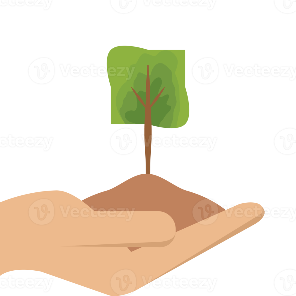 One Hand Holding Tree Plant Life Green Nature png
