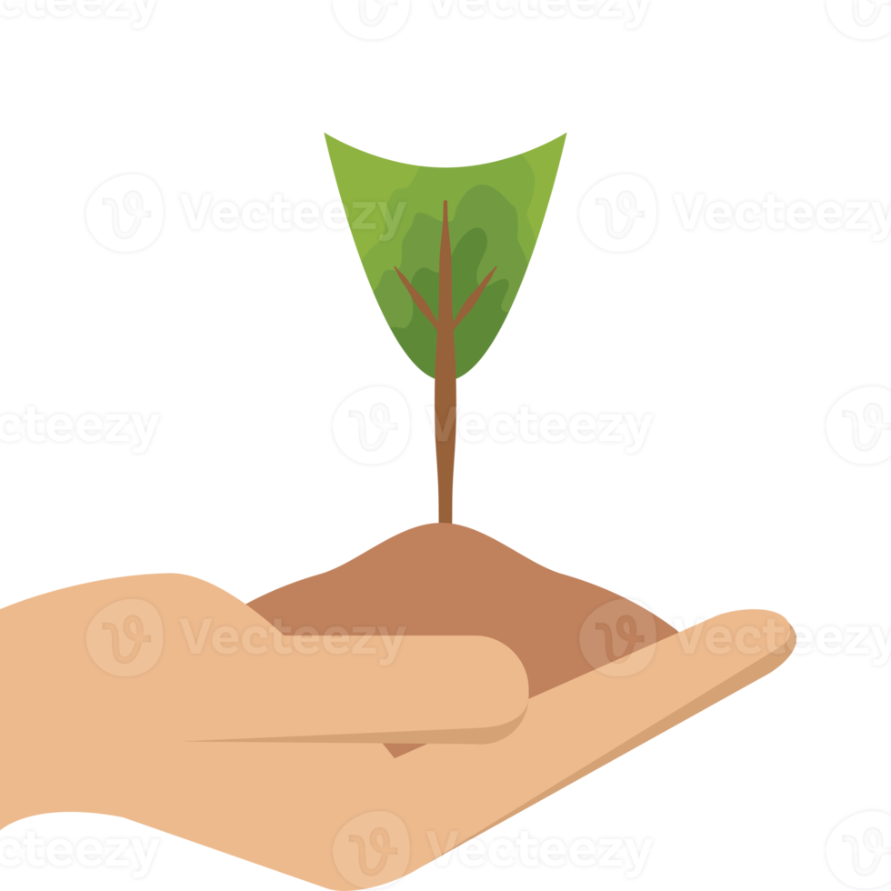 One Hand Holding Tree Plant Life Green Nature png