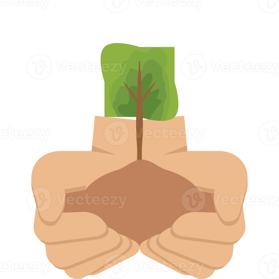 dos mano participación dando árbol planta naturaleza vida verde png