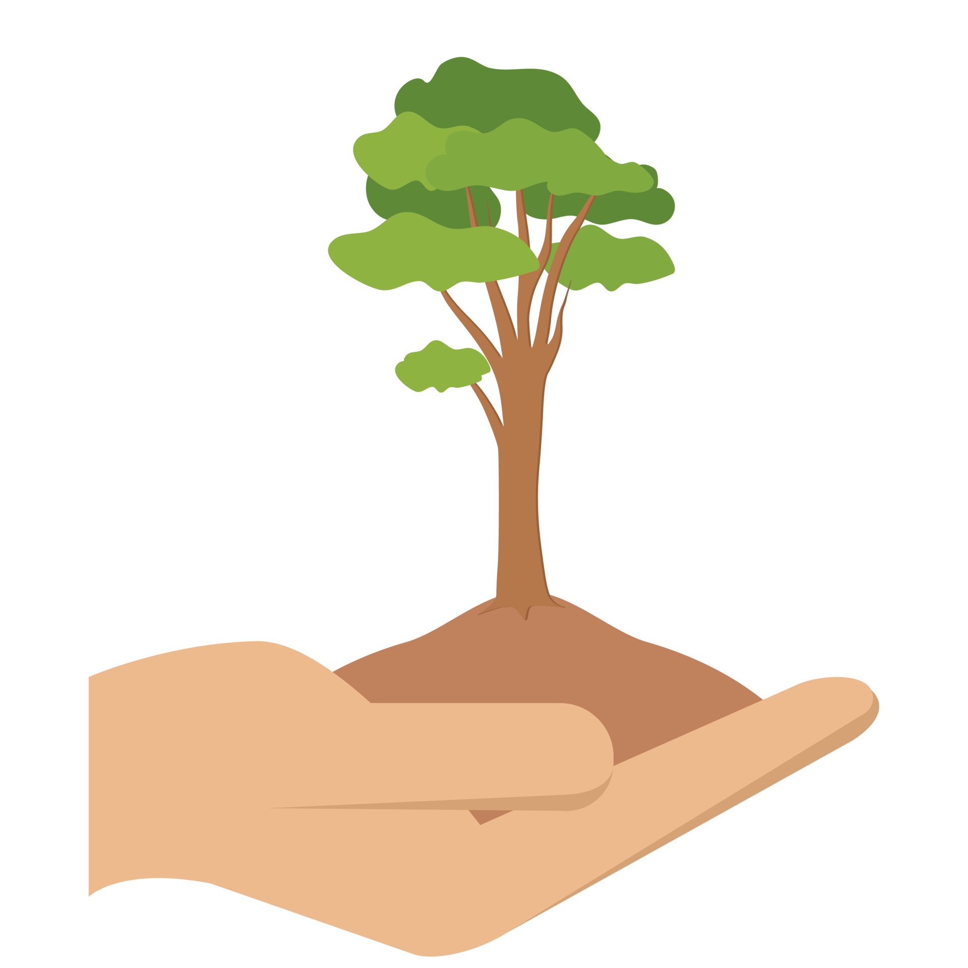 Giving Tree Hands Hold Green Trees Natural Environment Nature