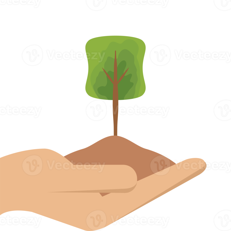 One Hand Holding Tree Plant Life Green Nature png