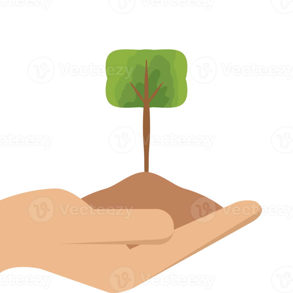 One Hand Holding Tree Plant Life Green Nature png