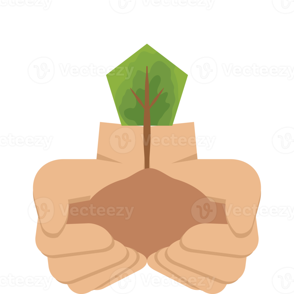 twee hand- Holding geven boom fabriek natuur leven groen png